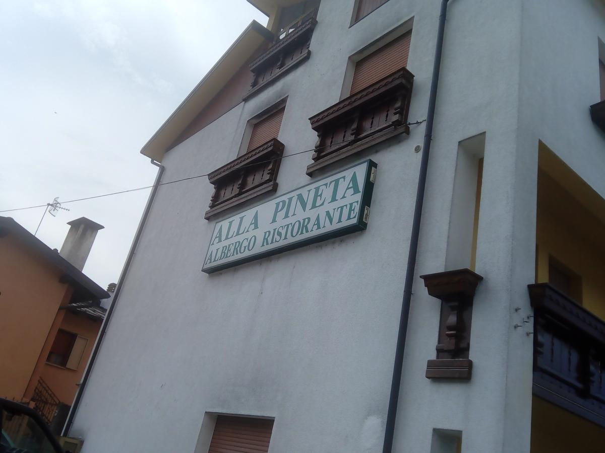 Albergo Alla Pineta Villa Santina Exterior photo