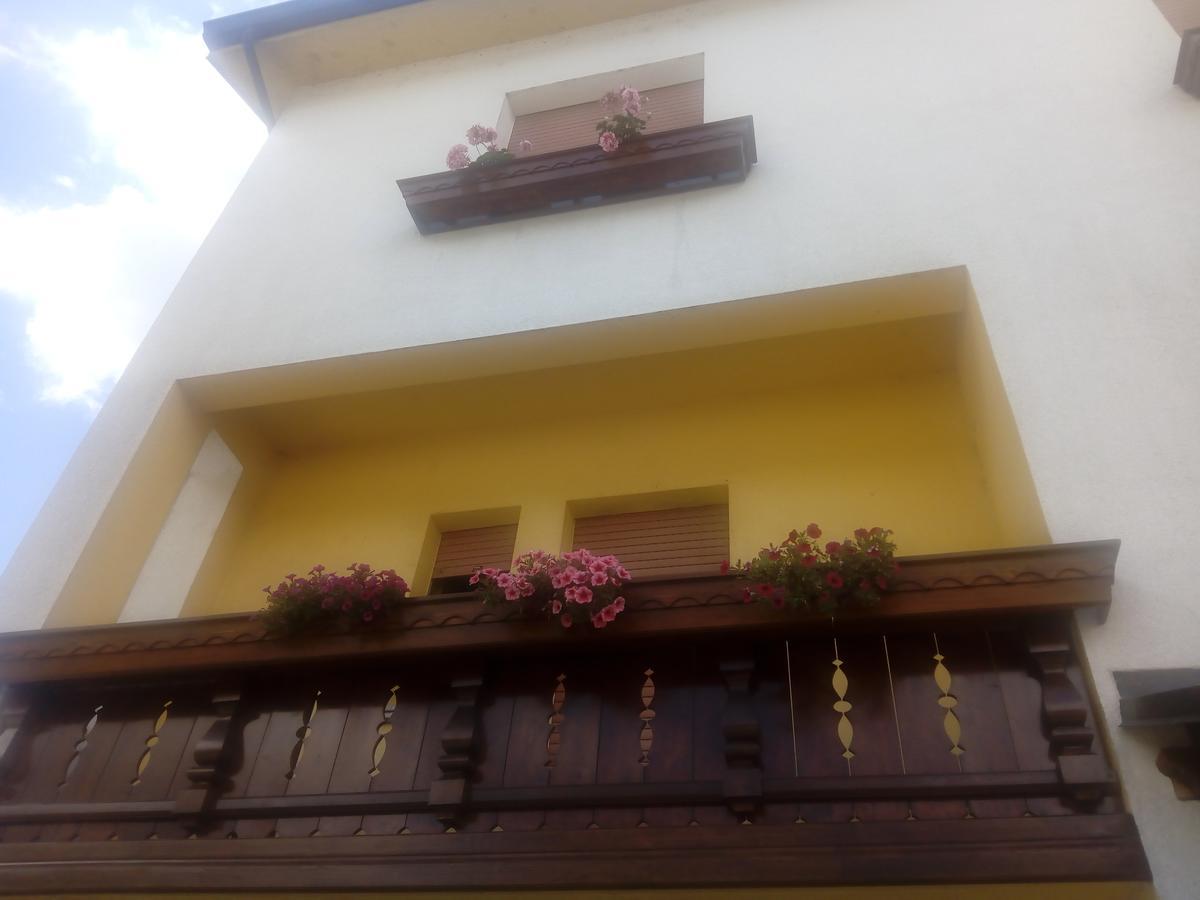 Albergo Alla Pineta Villa Santina Exterior photo
